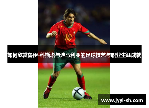 如何欣赏鲁伊-科斯塔与迪马利亚的足球技艺与职业生涯成就