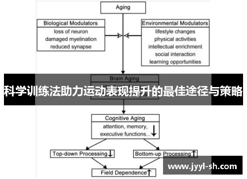 科学训练法助力运动表现提升的最佳途径与策略